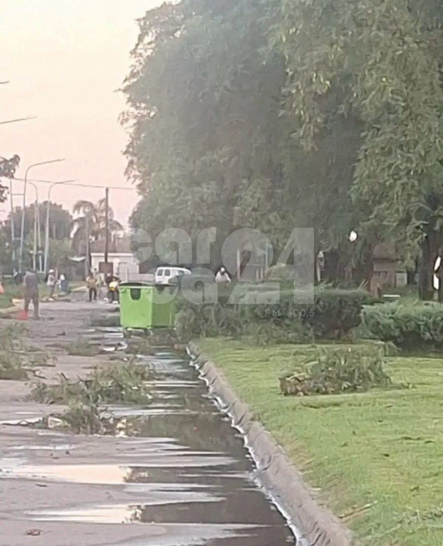Plaza de Centeno, la mañana despues del viento.